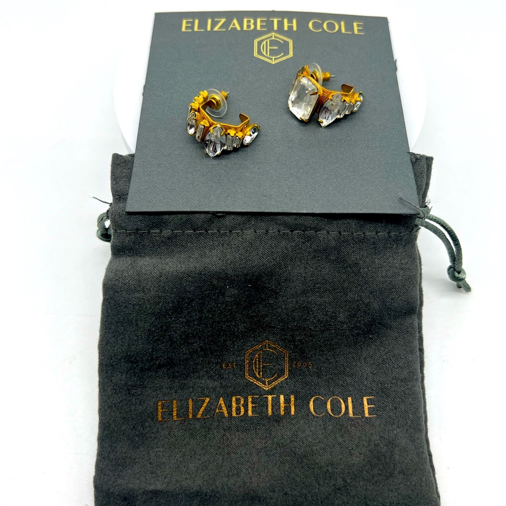 ELIZABETH COLE Made in USA 24K Gold Plated Crystal Small Hoop Earrings